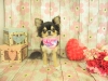 dscn9529
