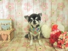 dscn9711