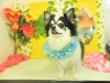 dscn9774