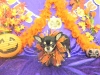 dscn9786