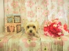dscn9601