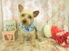 dscn9712_0