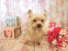 dscn9723