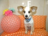 a39478b9665034b69951cefe9ca836dc