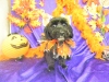 dscn0018