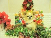 dscn3881
