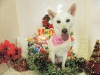 dscn3893_0