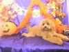 dscn4192