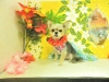 dscn4216