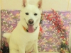 dscn4971