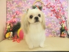 dscn5003