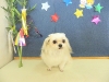 dscn6166